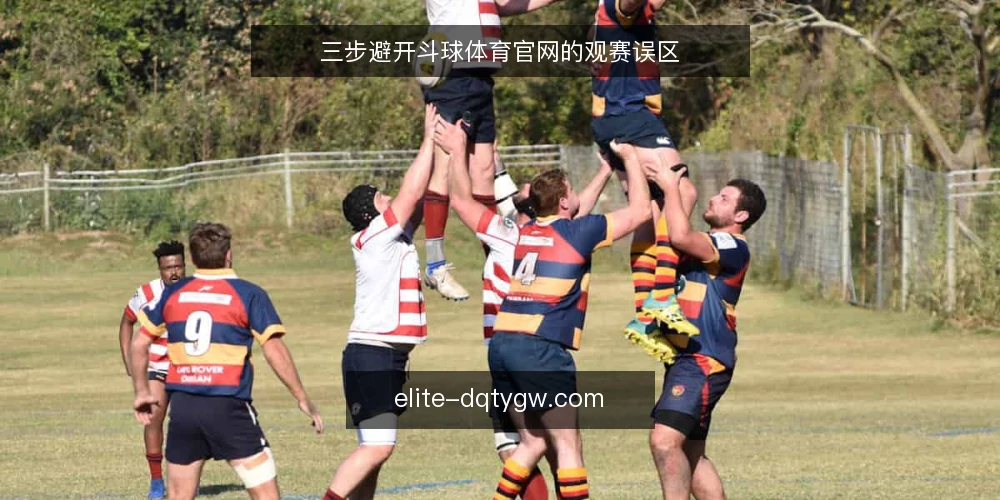 三步避开斗球体育官网的观赛误区 — 误区与实务的边界:先厘清观赛需求 配图