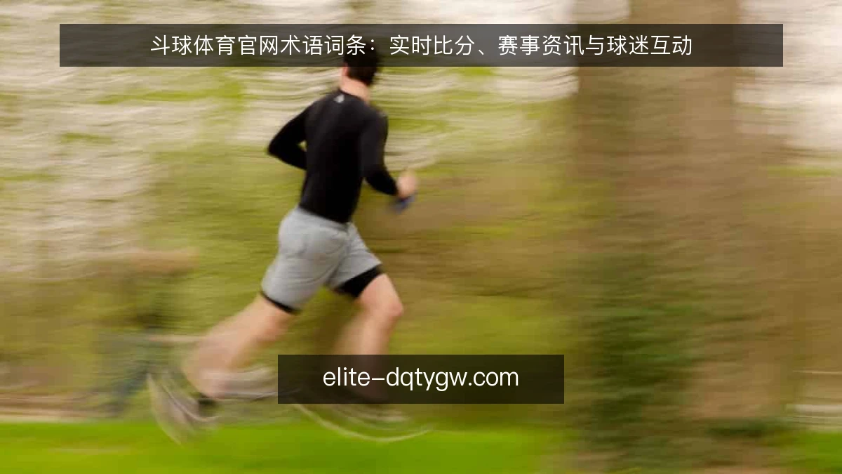 斗球体育官网术语词条:实时比分、赛事资讯与球迷互动