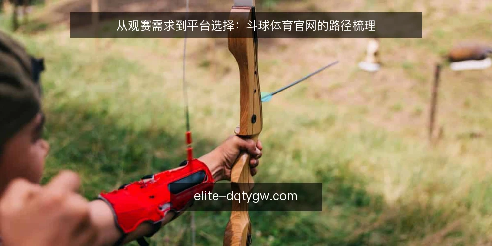 从观赛需求到平台选择：斗球体育官网的路径梳理 — 先明确观赛决策的边界 配图